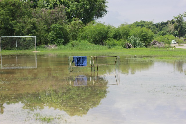 综合平衡 综合平衡