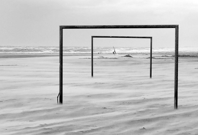 凭借敏锐的 凭借敏锐的