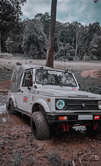 却以其浓厚 却以其浓厚