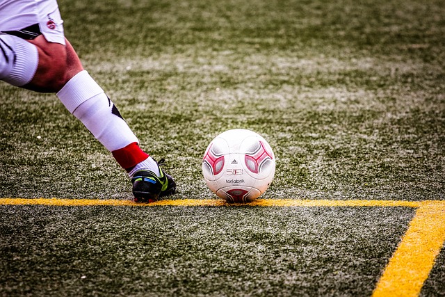 姆斯各自的 姆斯各自的