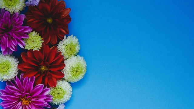 内的战略合 内的战略合