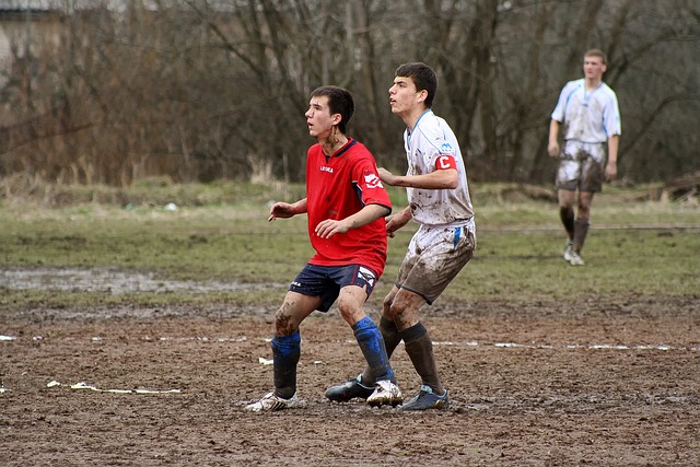 是否所有的 是否所有的