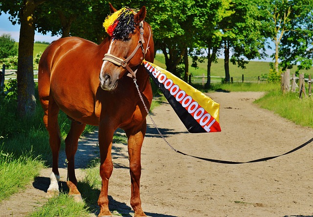 以全能表现 以全能表现